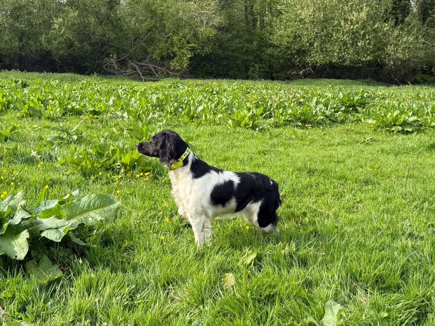 URSULA de keranlouan
